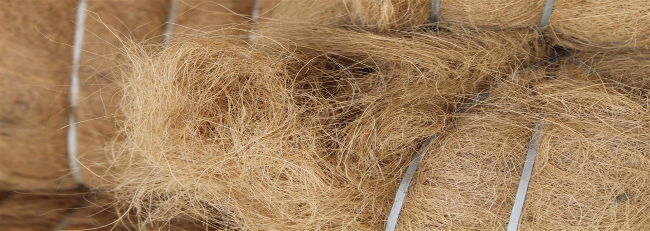 COIR FIBER
