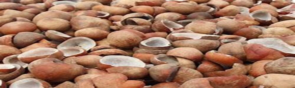 COCONUT COPRA